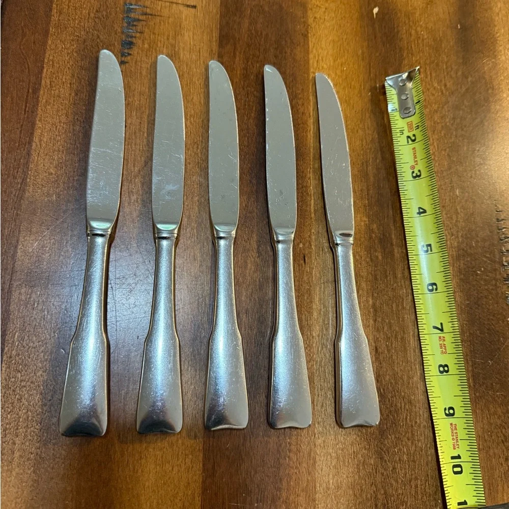 Lunt Modern Classic Stainless Flatware Glossy Knives Set Of 5